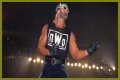 Hulk Hogan Was at His Meanest When He Vandalized the WCW World Heavyweight
Championship