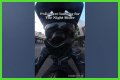 Night Rider Arrested, What Happened To Night Rider?