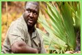 Nonso Anozie - Zoo Cast Member