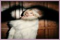 Q&A Session: Pixie Lott - CelebMix