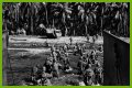 WWII's Most Daring Raids - Smithsonian Channel